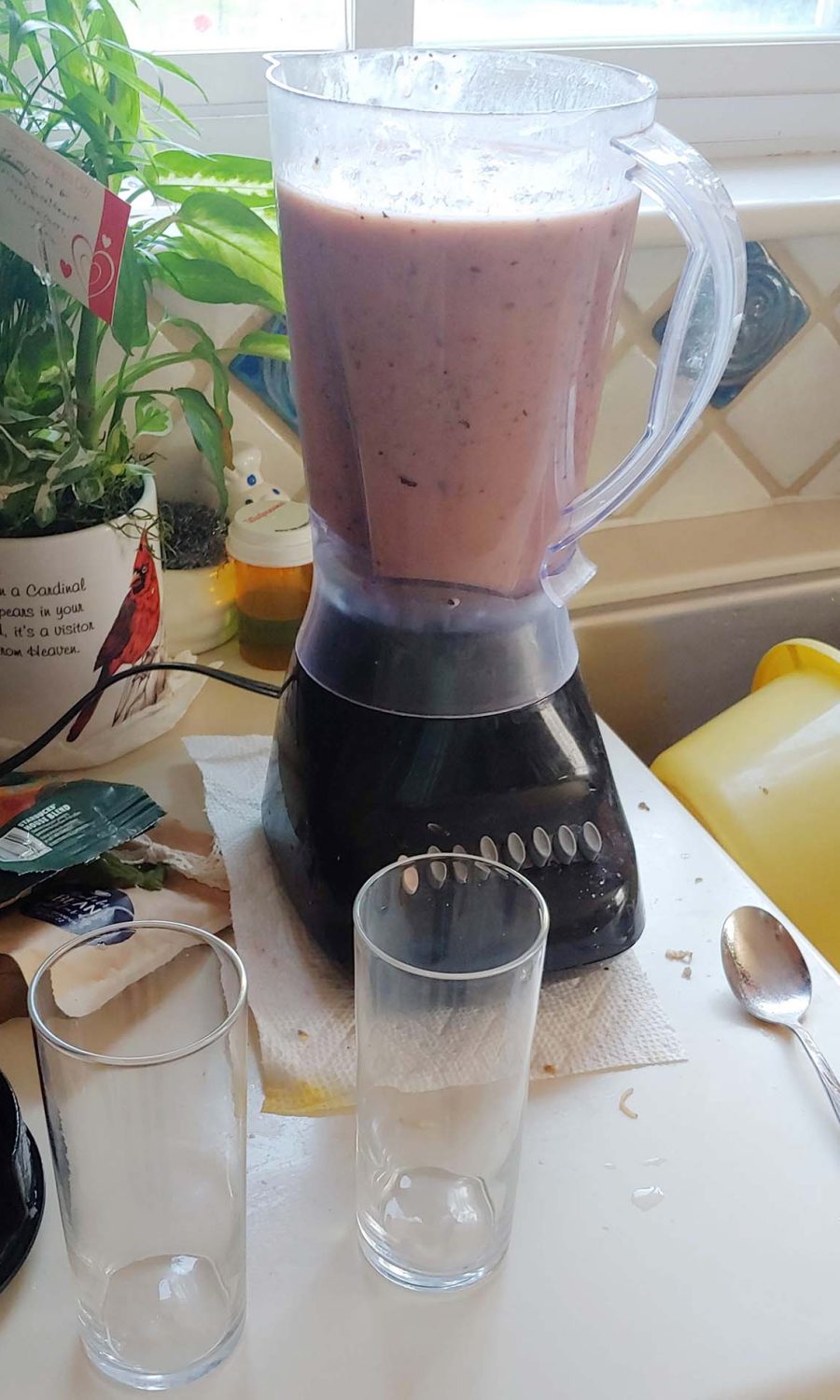 fruit-smoothie2